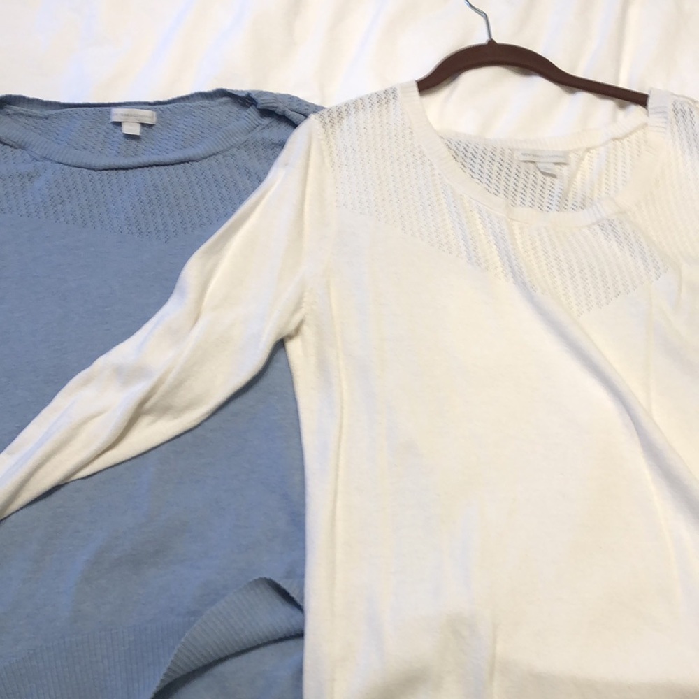 New York & Co white and blue sweaters